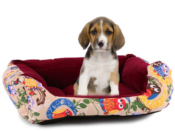 Lit pour chien avec coussin lit pour chat playpen xl