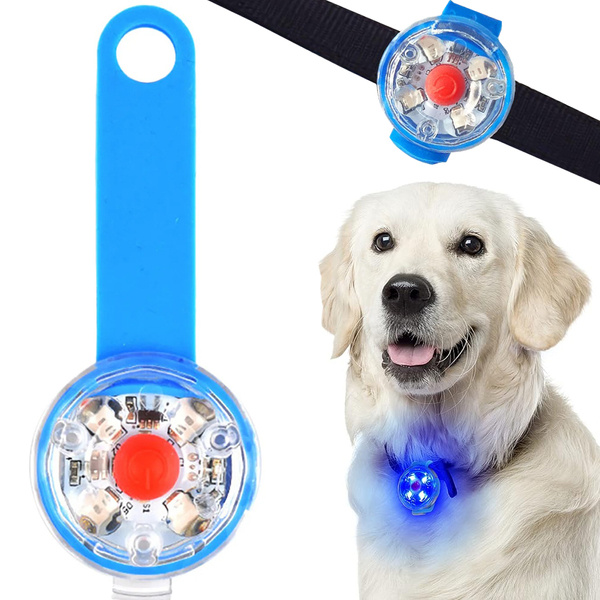 Luminaire led pour collier de chien collier de chat pendentif usb