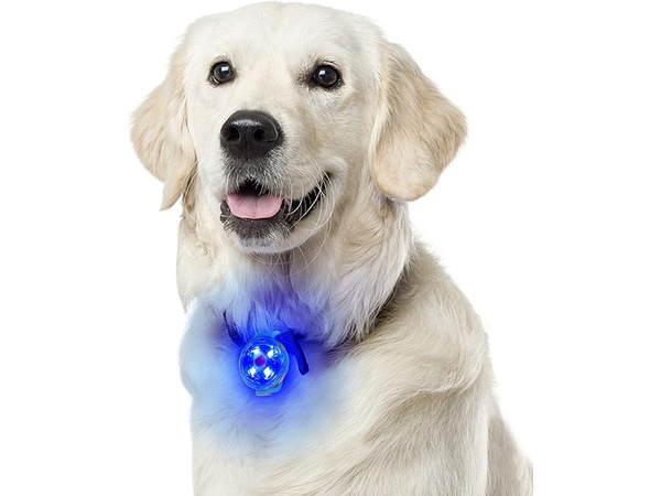 Luminaire led pour collier de chien collier de chat pendentif usb