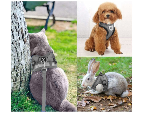 Porte-manteau sans pression pour chien chat lapin doux fort réflecteur m