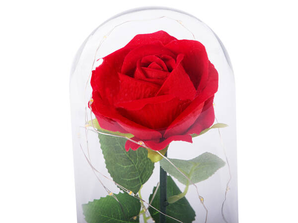 Rose éternelle en verre cadeau boîte lumineuse led