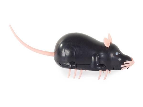 Souris électrique jouet vibrant pour chat jouet de dentition