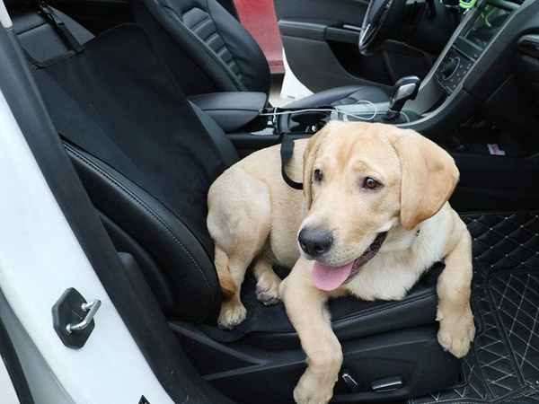 Tapis de siège auto pour chien housse pliante imperméable