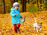 Bloc de parc automatique pour chiens 5m 15kg