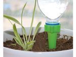 Bouteille plante pot irrigateur