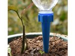 Bouteille plante pot irrigateur