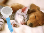 Brosse à poils autonettoyante pour chiens chats