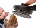 Brosse à poils pour chien peigne de toilettage autonettoyant pour chat