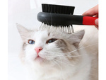 Brosse poils de chien chat doux double face