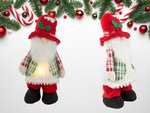 Gnomes d'arbre de Noël 30cm fantôme fantôme oiseau illuminé LED