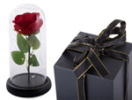 Rose éternelle en verre cadeau boîte lumineuse led