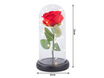 Rose éternelle en verre cadeau boîte lumineuse led