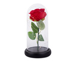 Rose éternelle en verre cadeau boîte lumineuse led