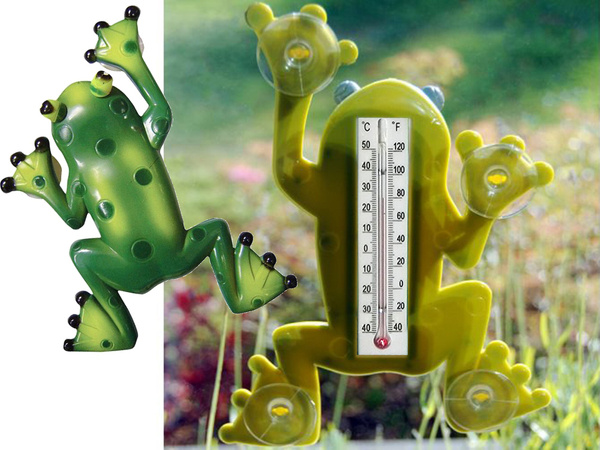 Externer saugnapf-thermometerfrosch