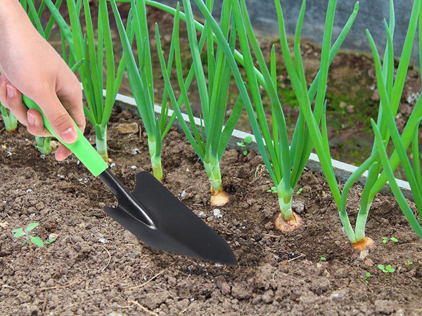 Gartenspaten zum pflanzen und umpflanzen von pflanzen für steppspaten