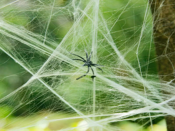 Künstliches weisses spinnennetz mit spinnen halloween dekoration dehnbar