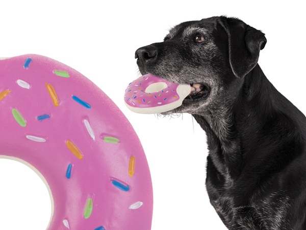 Spielzeug für hund katze gummi-quietscher kauen gummi knospe quietscher