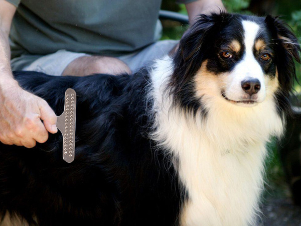 Trimmer kamm bürste grosse hundehaare katzenhaare