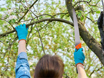 Garten zweig-schneiden säge hand für holz fall gürteltasche