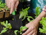 Gartenspaten zum pflanzen und umpflanzen von pflanzen für steppspaten