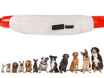 LED-LEUCHTE FÜR HUNDE UND KATZEN Wasserdicht Einstellbar 47cm USB