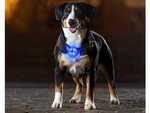 Led leuchte für hundehalsband katzenhalsband anhänger usb