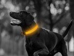 Led lighting halsband für hunde und katzen einstellbar 59cm