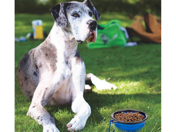 Silikonnapf für hunde faltbar touristisch carabinieri 400ml