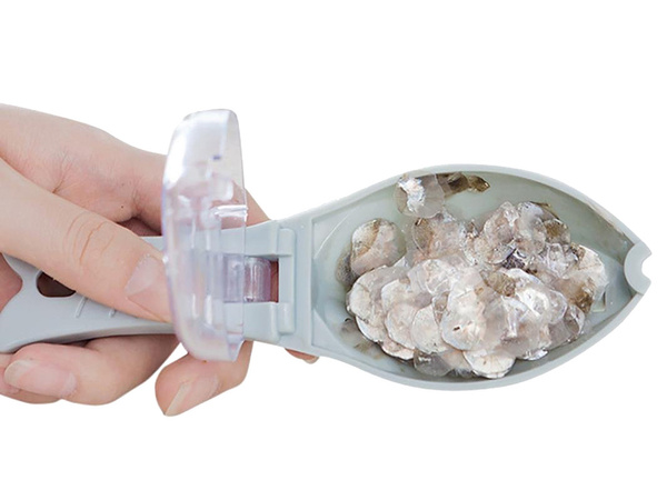 Fish scraper peeler scallion knife container