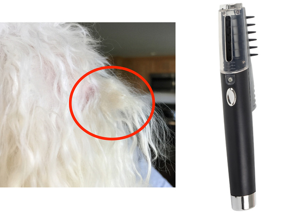Cepillo peine eléctrico para pelo de perro gato animal
