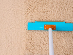 Brosse pour ramasser les poils de chien enlever le cardage de la moquette