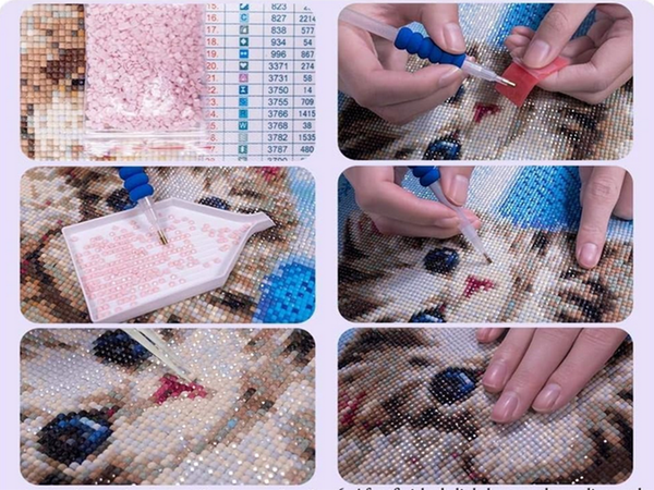 Set de broderie en diamant lion peinture en diamant roi
