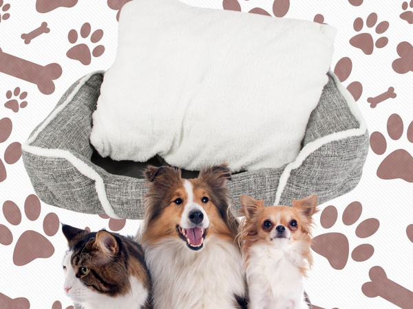 Dog bed soft comfortable fluffy bed with cushion size l