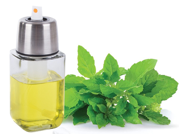 Oil sprayer vinegar dispenser spray