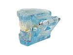 Modelo dental dientes mandíbula implantes dentales