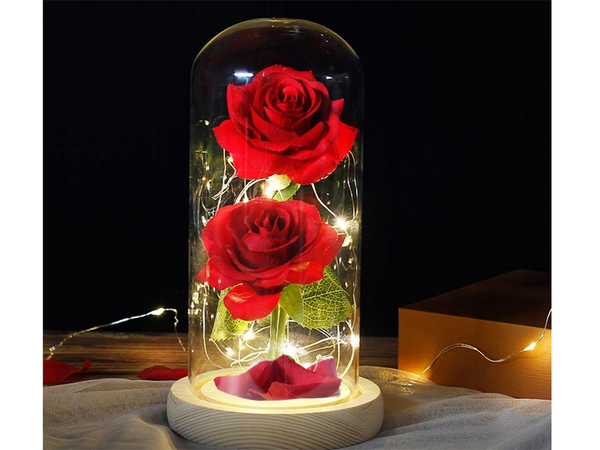 Immerwährende rose im glas rot geführtes geschenk leuchtend für eine gelegenheit für frauen