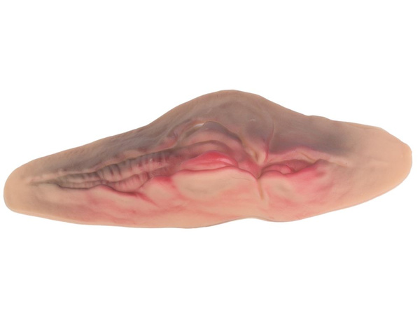 Netikra perpjauta gerklės žaizda su 10 ml netikro kraujo helovino aksesuaras