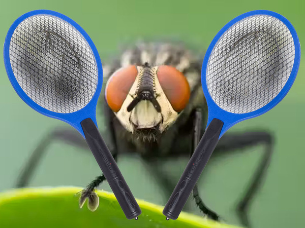 Electric fly catcher paw pouch mosquitoes moth flies