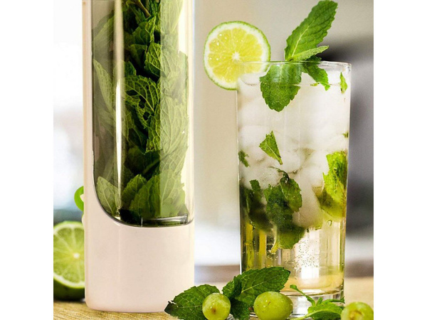 Recipient pentru plante aromatice legume proaspete seră