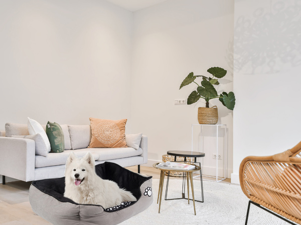 Cama de perro de felpa con cojín extraíble suave cómodo