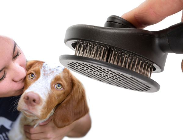 Dog hair brush cat self-cleaning grooming comb