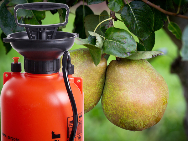 PULVERIZADOR A PRESIÓN JARDÍN PULVERIZADOR MANUAL LANZA LARGA 5L CORREA