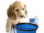 Silicone bowl for dogs foldable touristic carabinieri 400ml