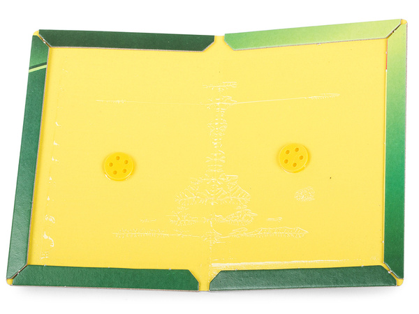 Ragasztócsapda egércsapda 24cm