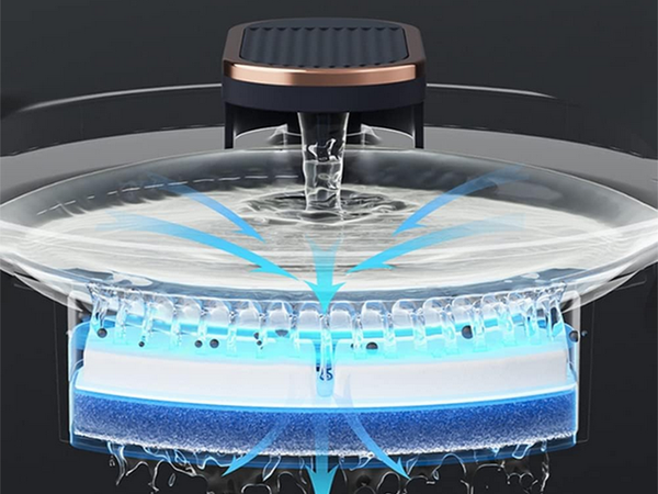 Abreuvoir automatique pour chat fontaine d'eau pour chien filtres bol d'eau