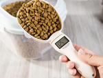 Electronic glass electronic lcd digital swalking weigh 800g