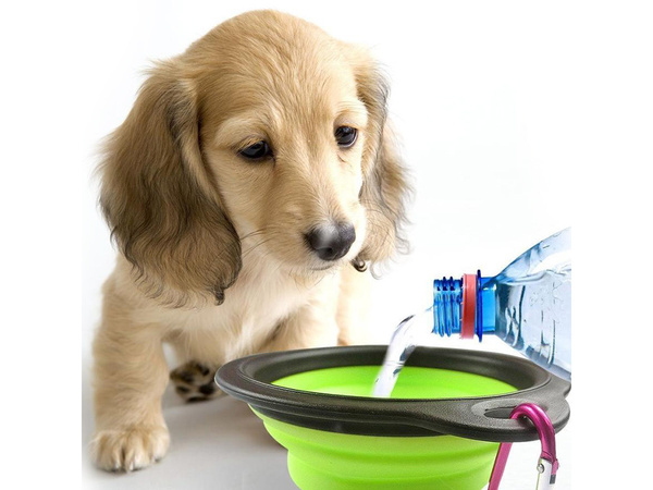 Écuelle pliante en silicone pour chien 0.4 l
