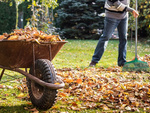 Gartenharte für grasblätter leichter kunststoffstamm aluminium 40cm