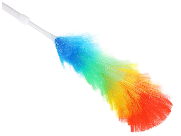 Brosse à épousseter télescopique balai