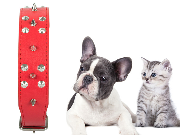 Guler de câine cu crampoane piele ecologică reglabil xl